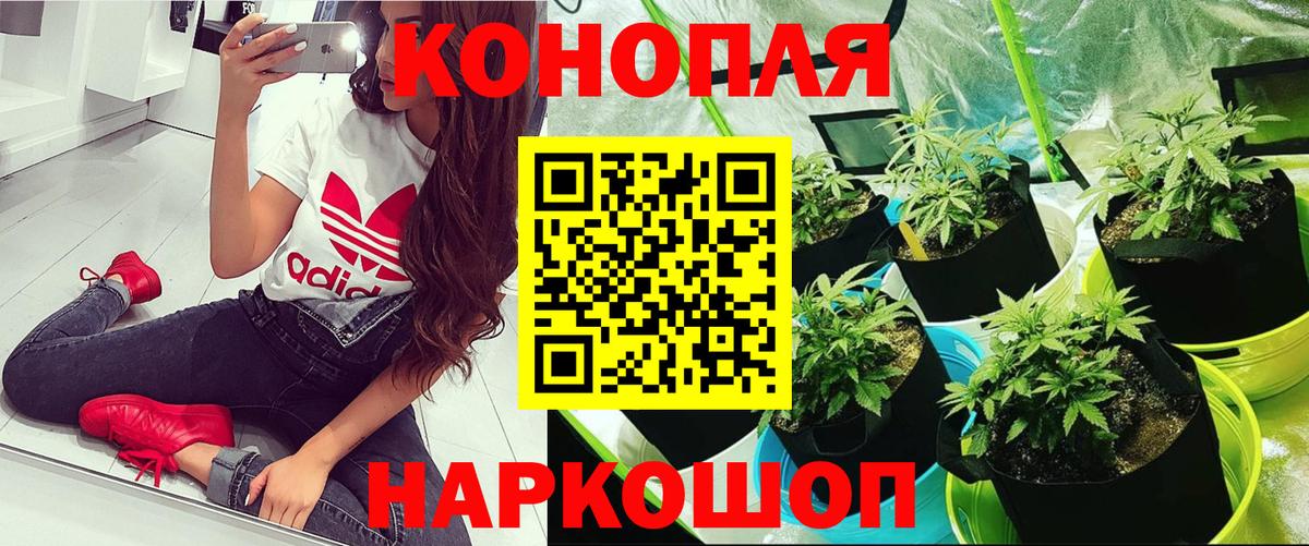 Канабис White Widow  Бошки Шишки Bruce Banner  Вход с VPN  Партизанск 